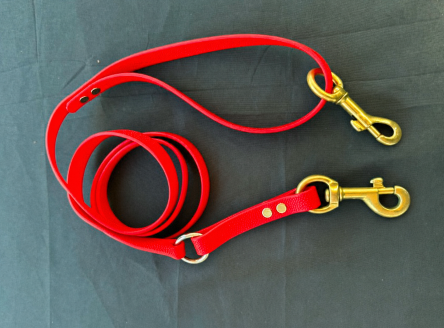 Single Biothane Lead